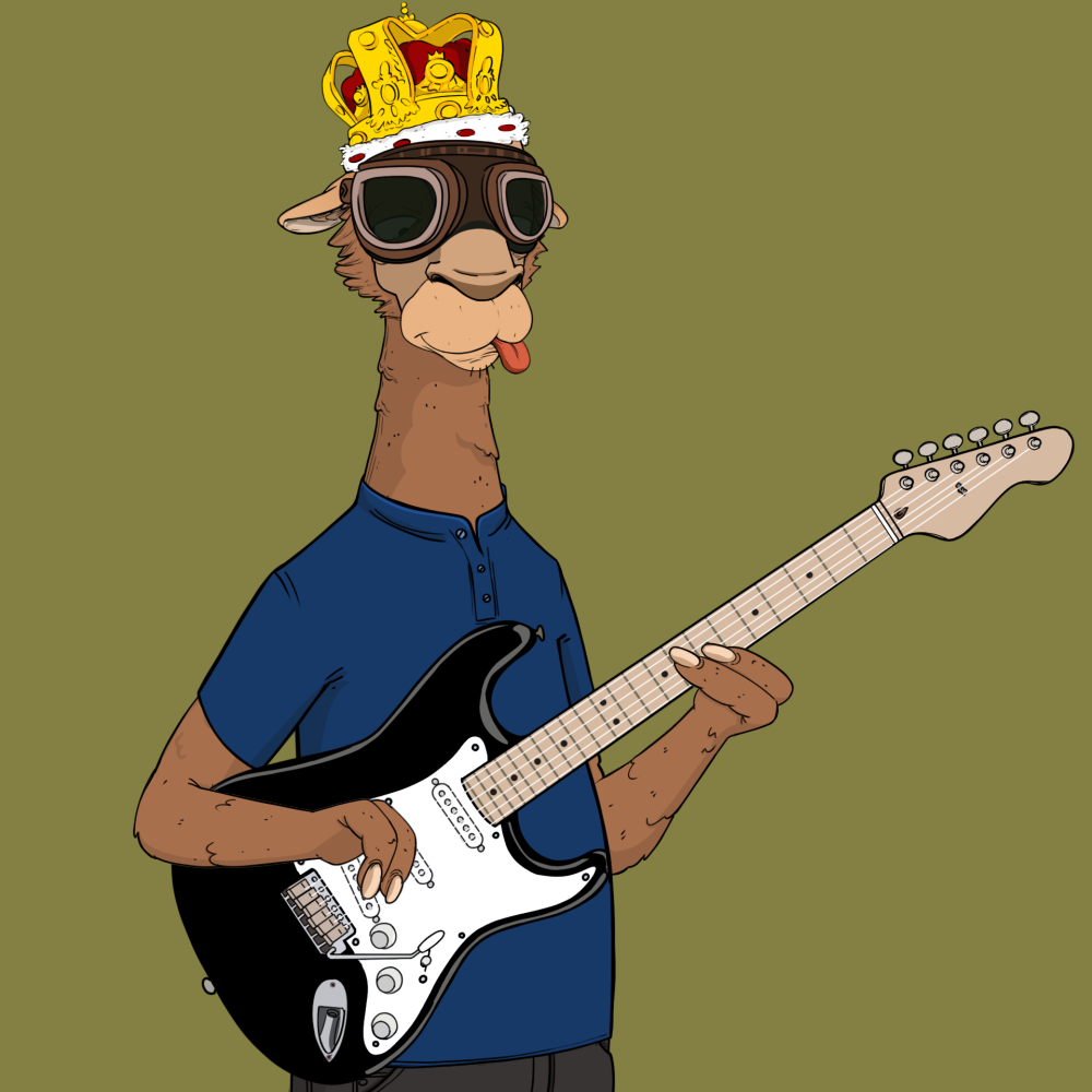 Jammin' Alpacas #4755