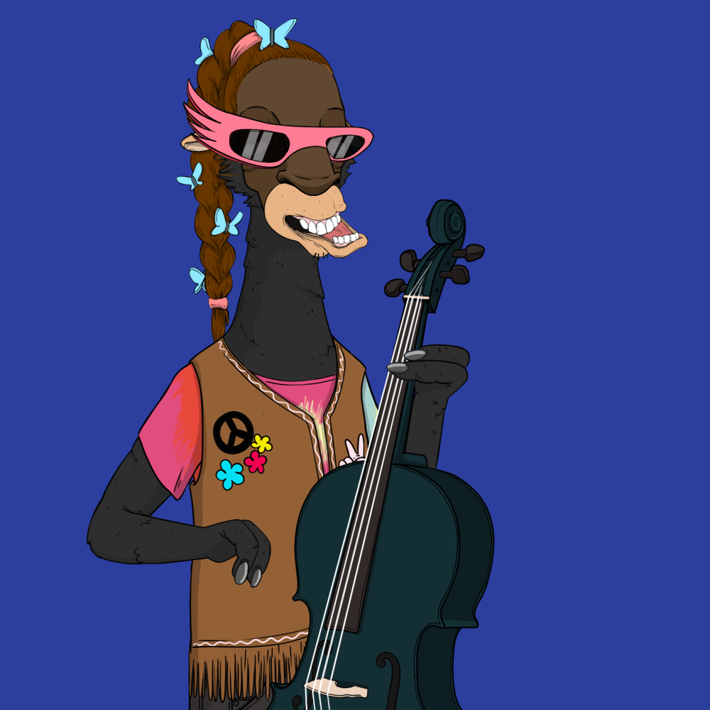 Jammin' Alpacas #4778