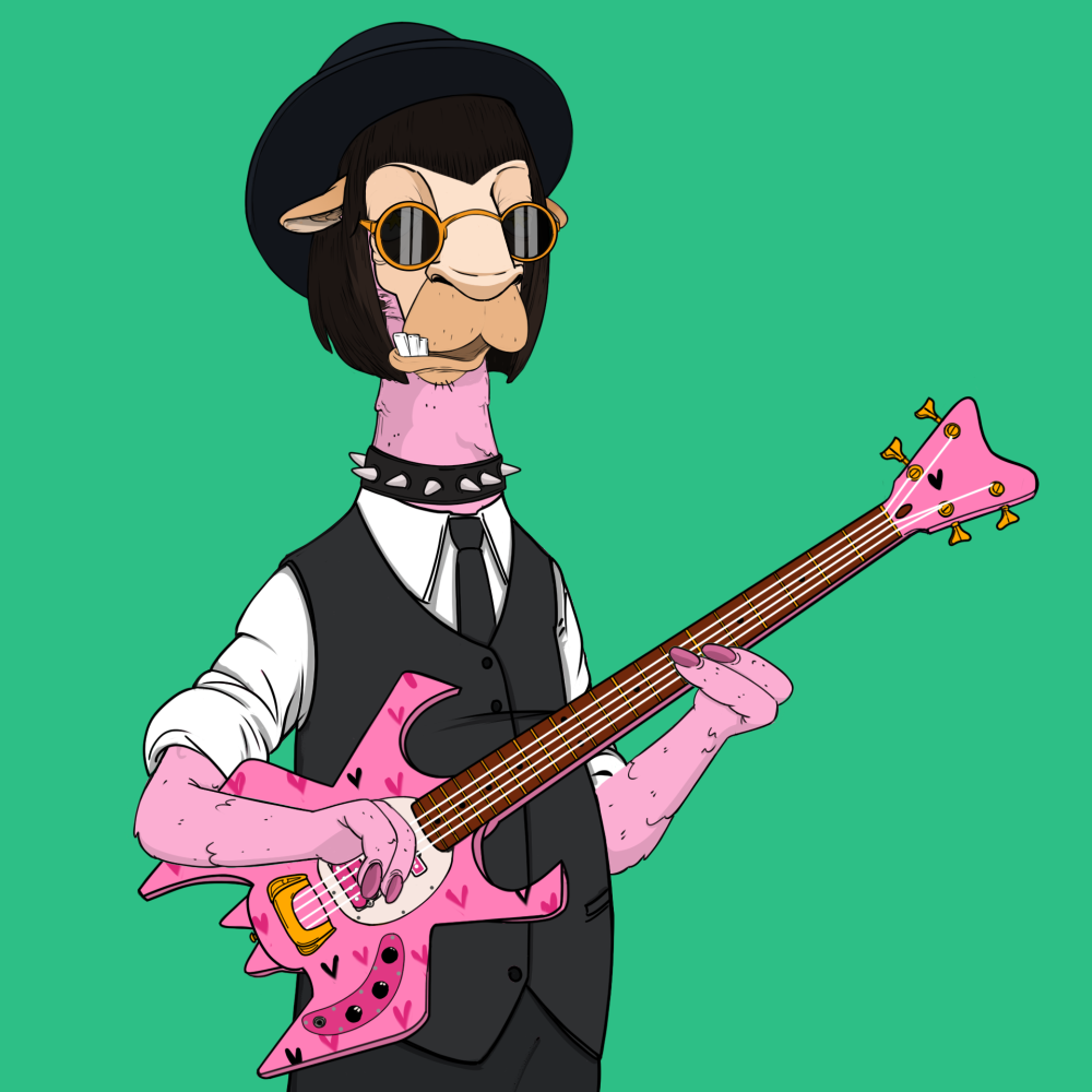 Jammin' Alpacas #4783