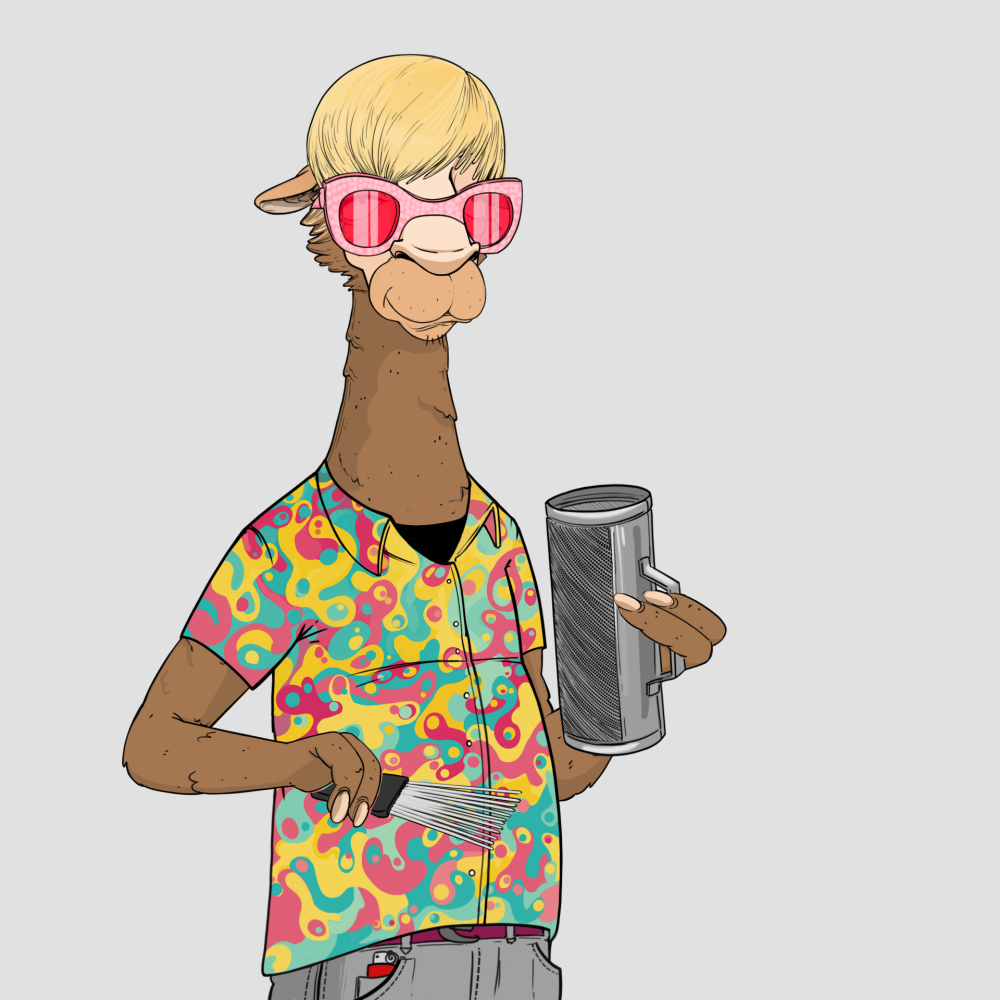 Jammin' Alpacas #4800