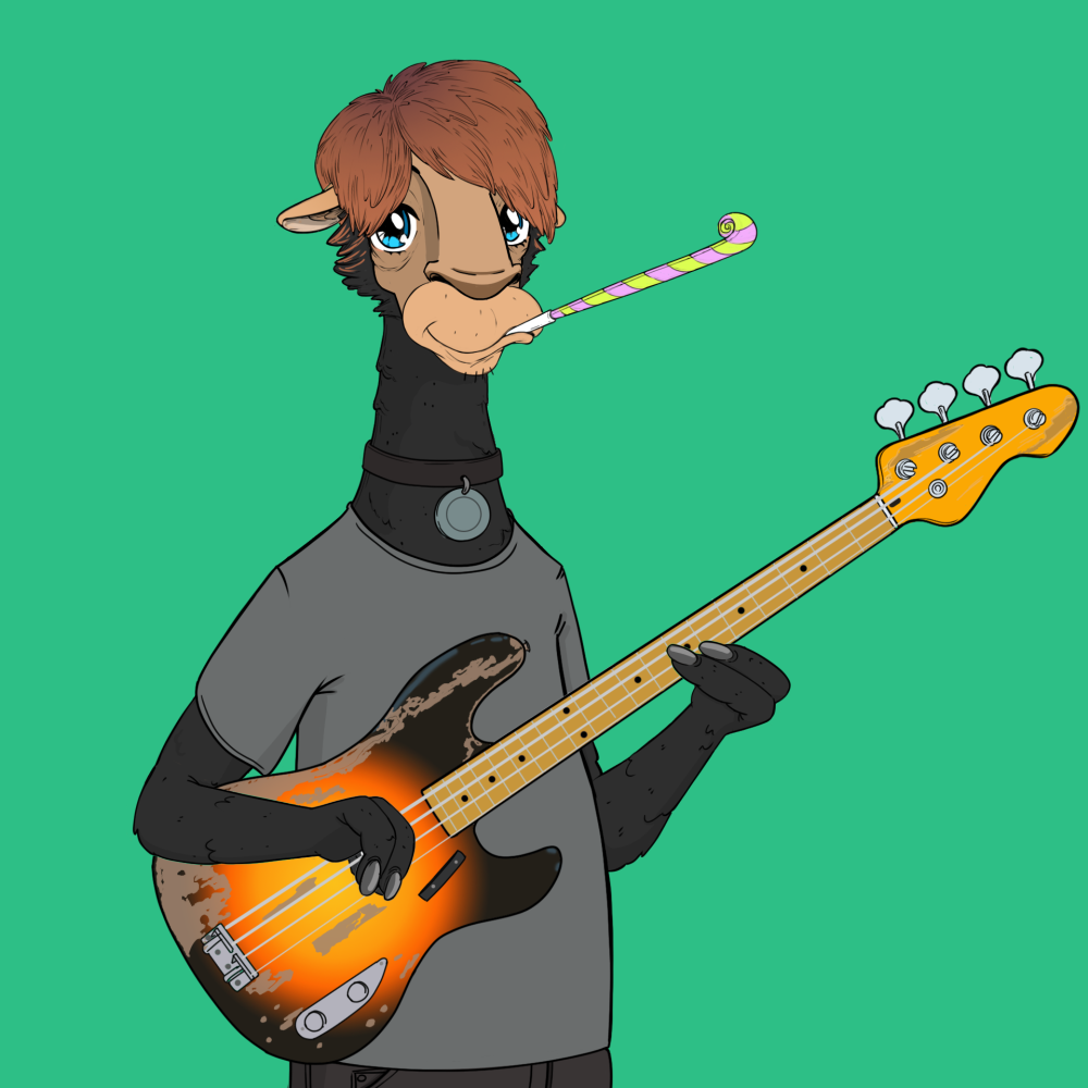 Jammin' Alpacas #4808
