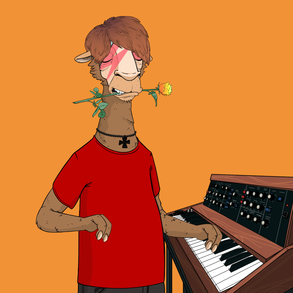 Jammin' Alpacas #4827