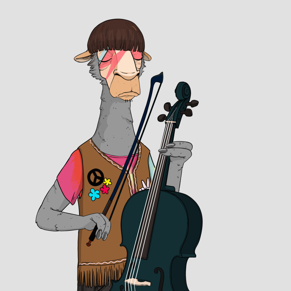 Jammin' Alpacas #4829