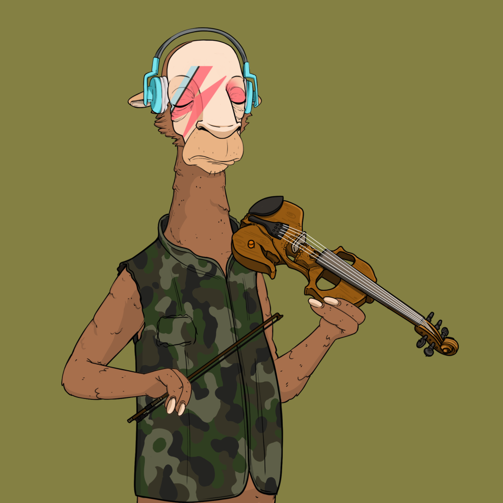 Jammin' Alpacas #4856