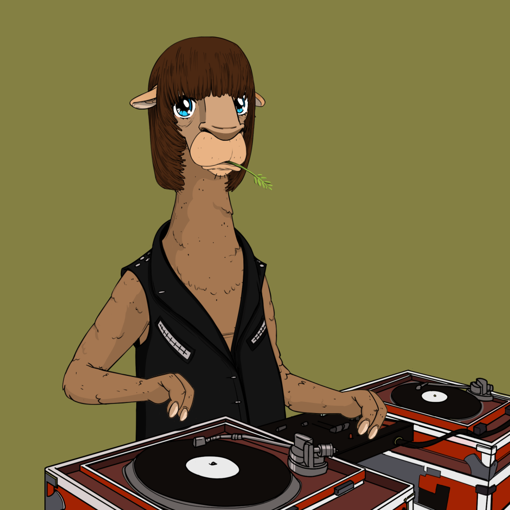 Jammin' Alpacas #4895