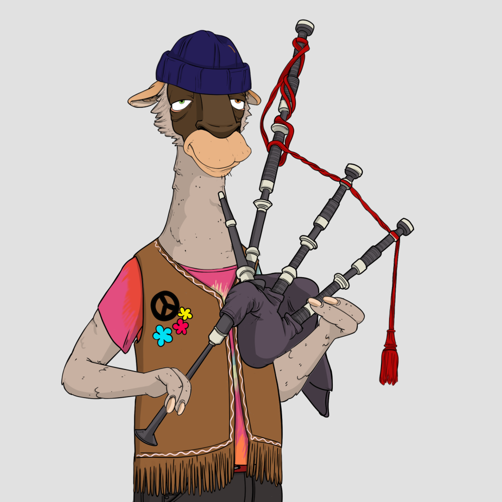 Jammin' Alpacas #4908