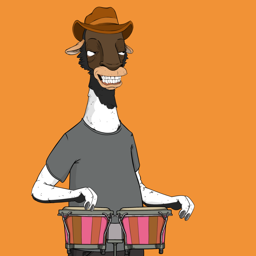 Jammin' Alpacas #4918