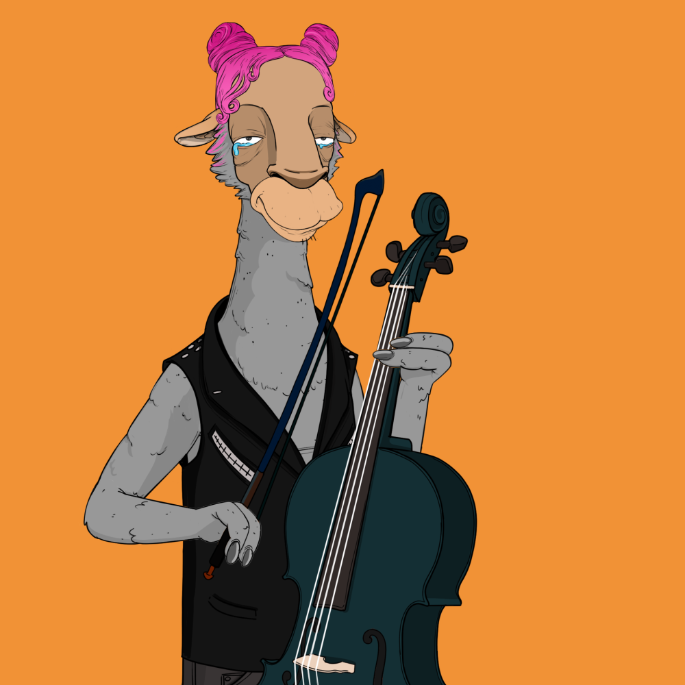Jammin' Alpacas #4924
