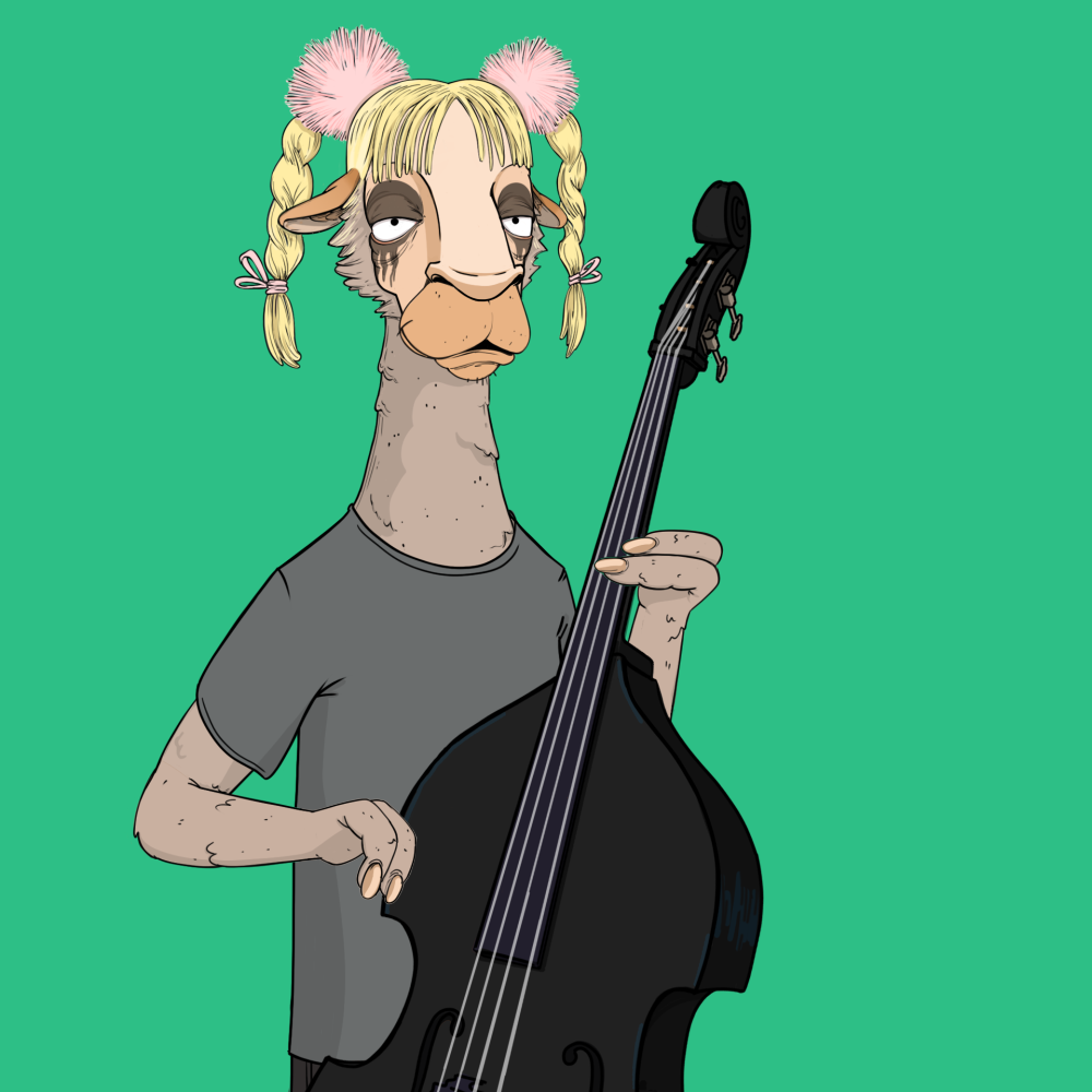 Jammin' Alpacas #4927