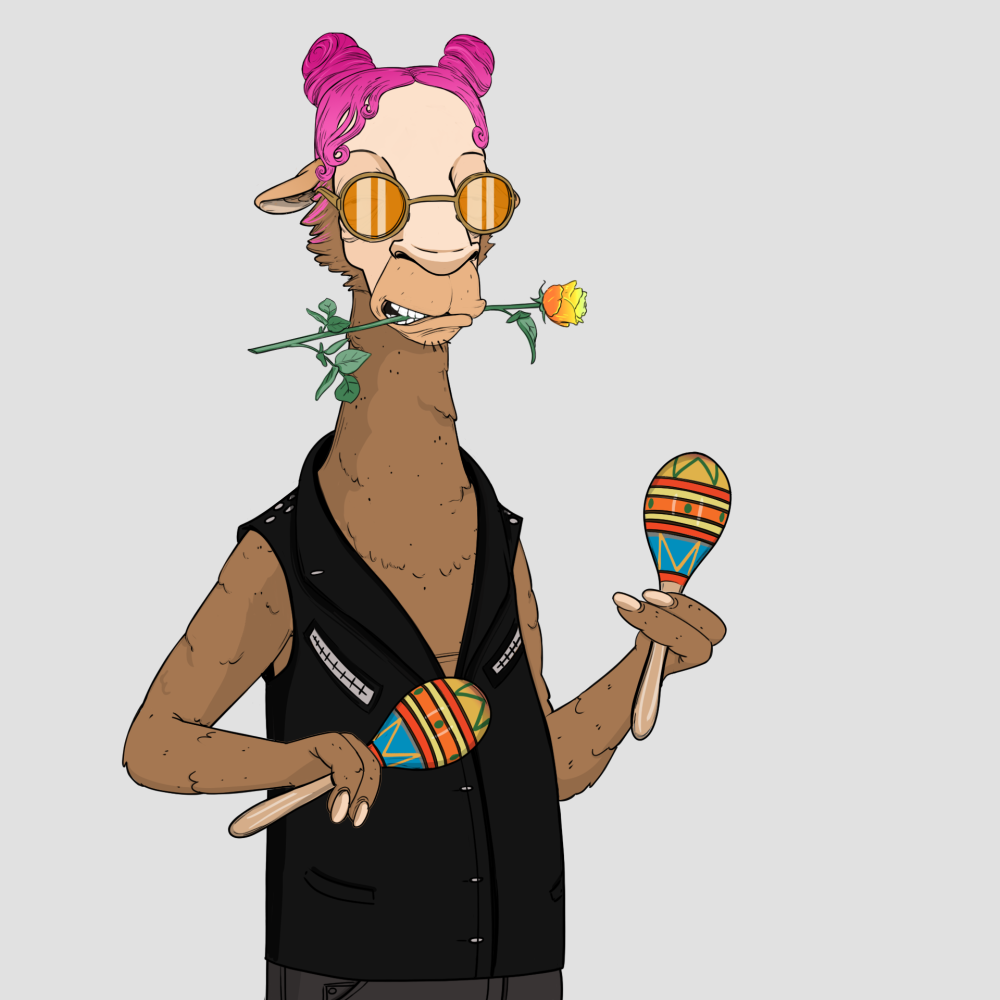 Jammin' Alpacas #4935