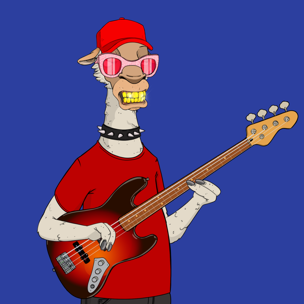 Jammin' Alpacas #4938