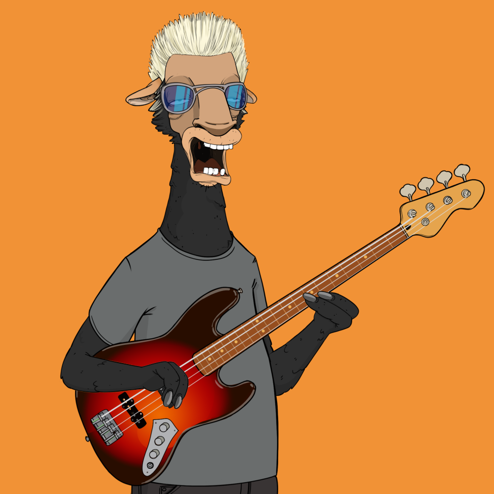 Jammin' Alpacas #4943