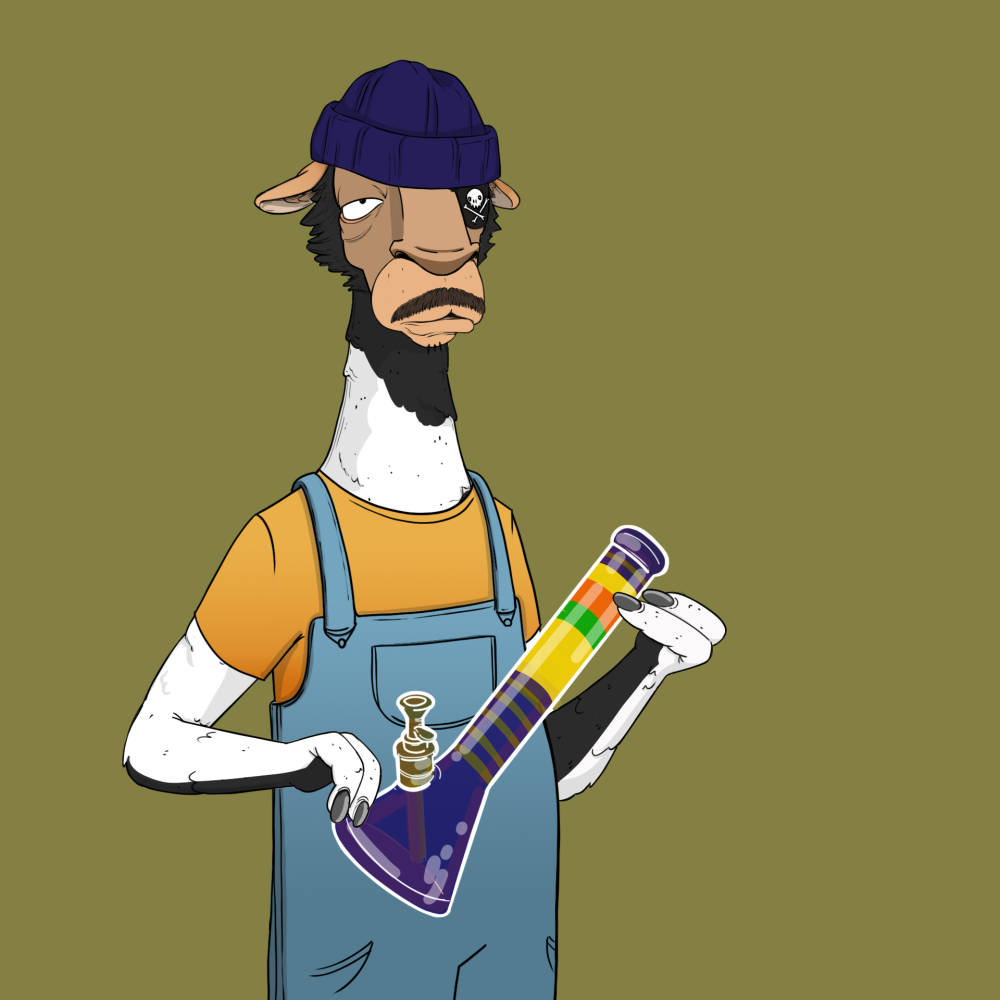 Jammin' Alpacas #4975