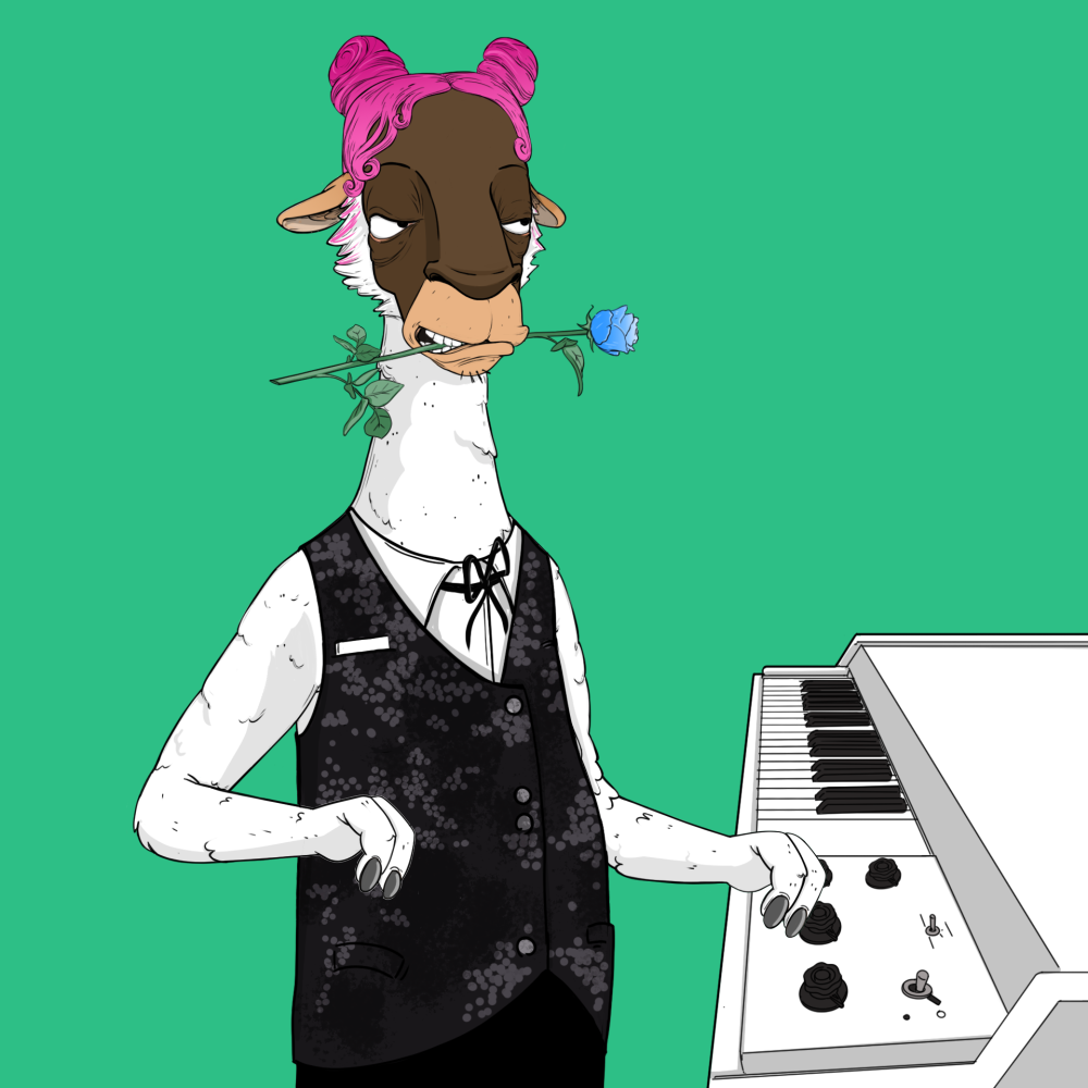 Jammin' Alpacas #4994