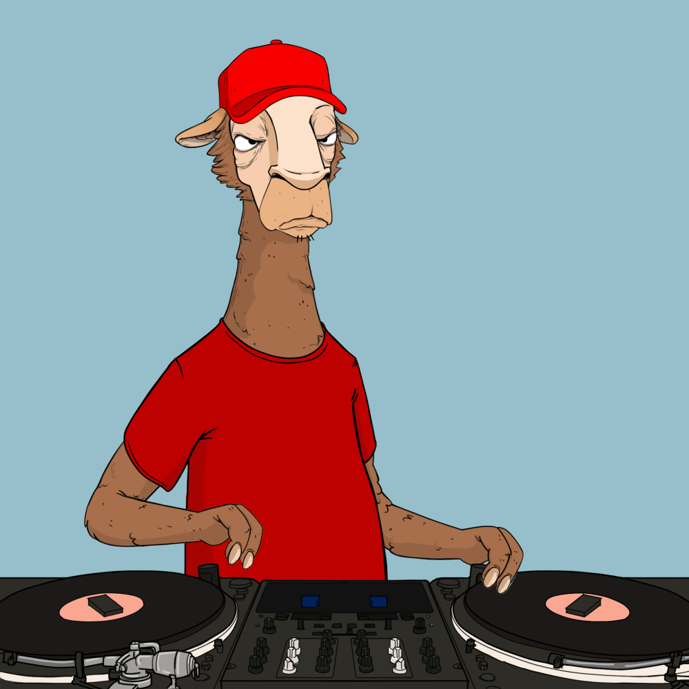 Jammin' Alpacas #5020