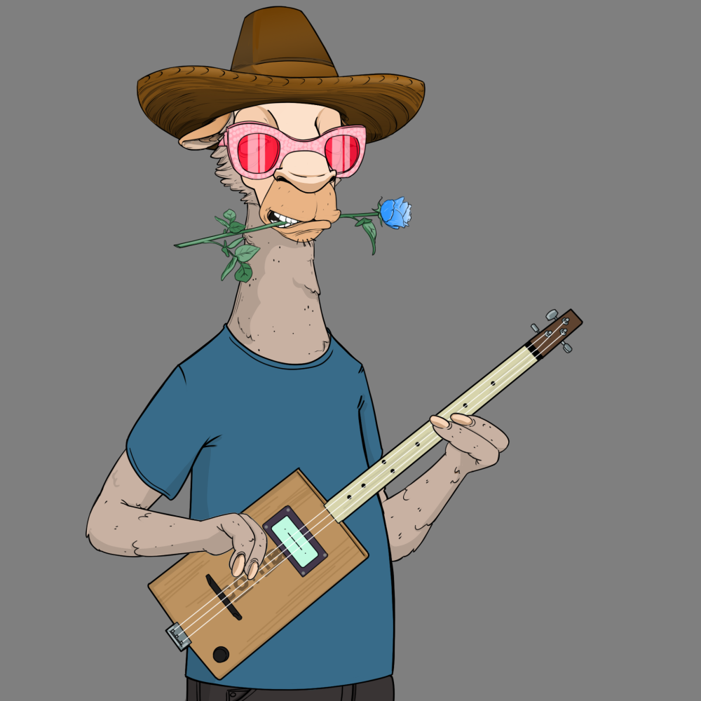 Jammin' Alpacas #5038