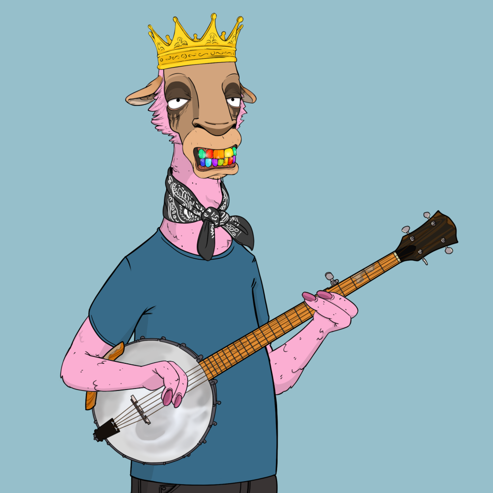 Jammin' Alpacas #5041