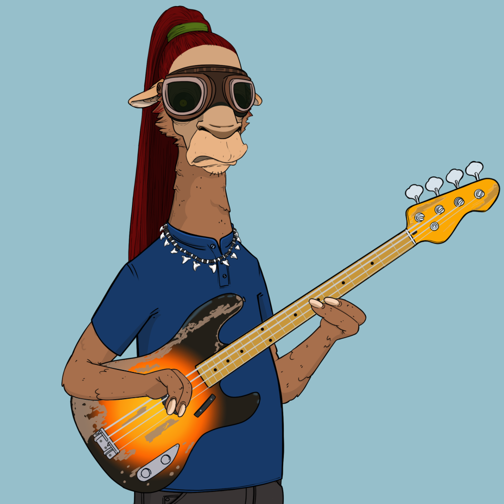 Jammin' Alpacas #5062