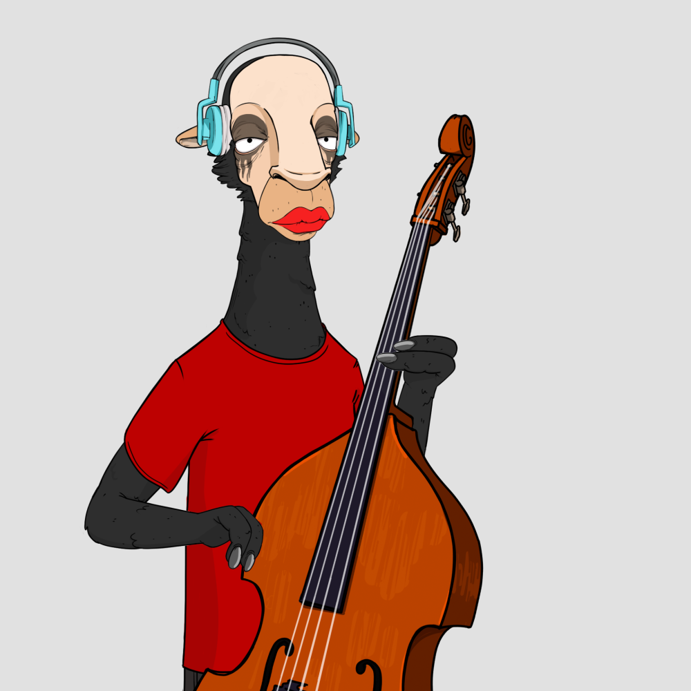 Jammin' Alpacas #5066