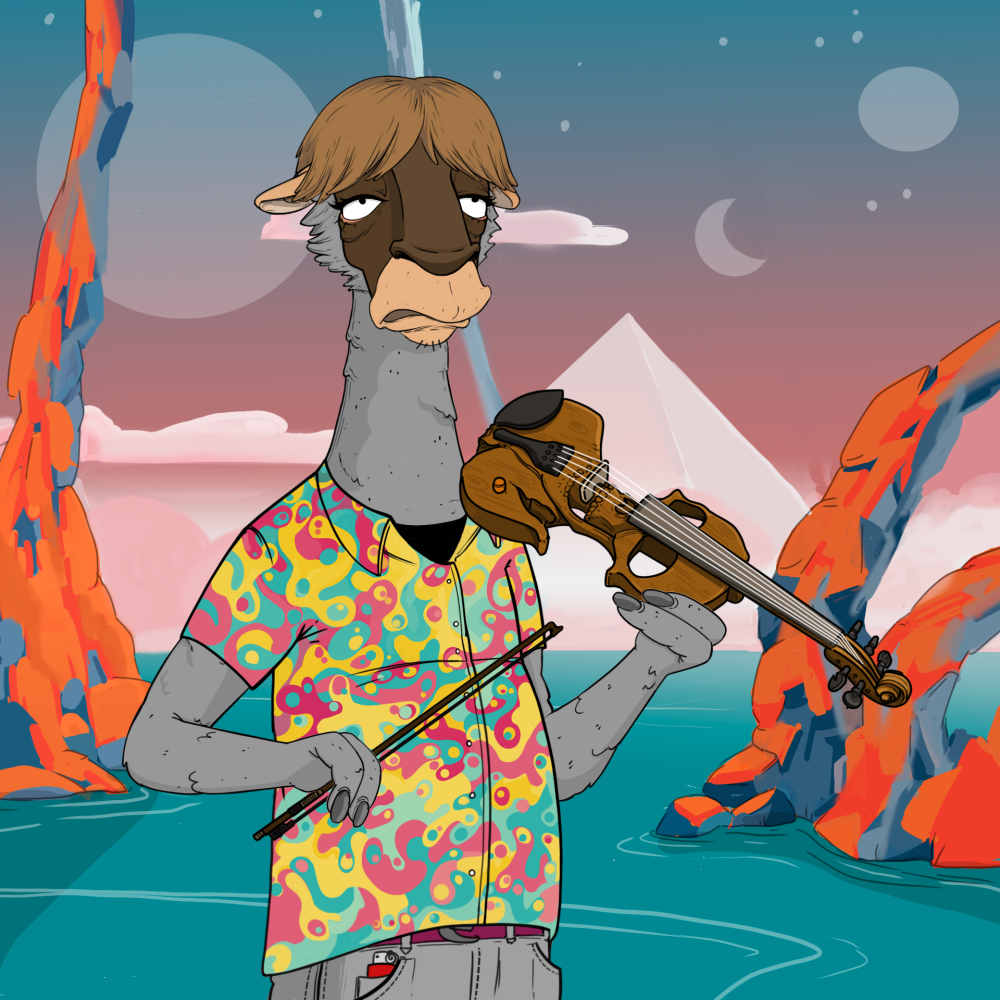 Jammin' Alpacas #5096