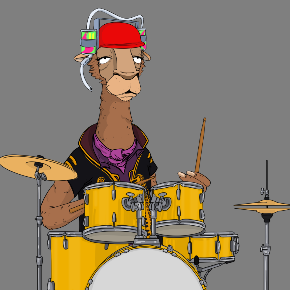 Jammin' Alpacas #5123