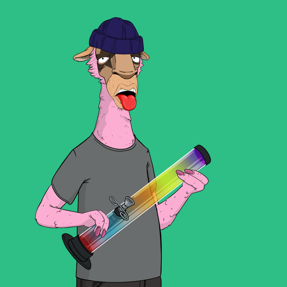 Jammin' Alpacas #5134