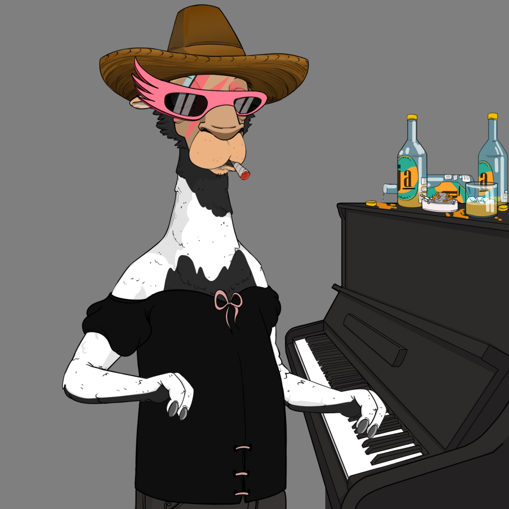 Jammin' Alpacas #5157