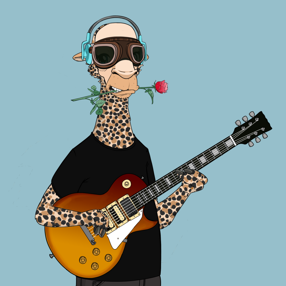 Jammin' Alpacas #5158