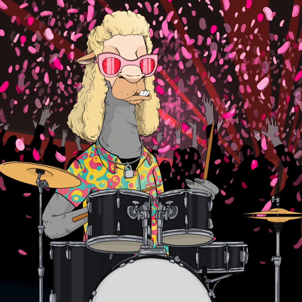 Jammin' Alpacas #5160