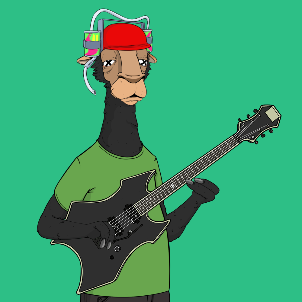 Jammin' Alpacas #5165