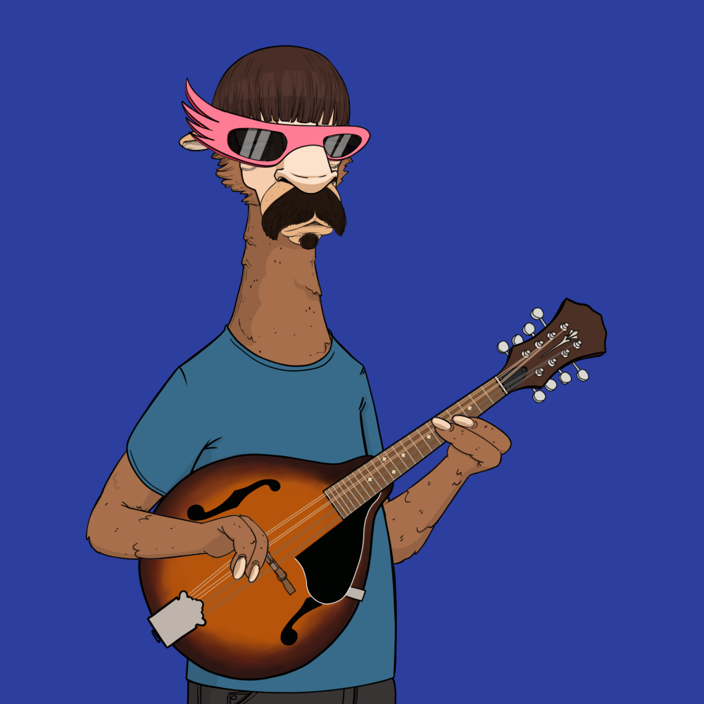 Jammin' Alpacas #5190