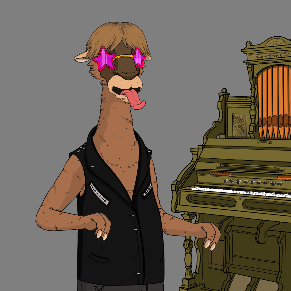 Jammin' Alpacas #5200
