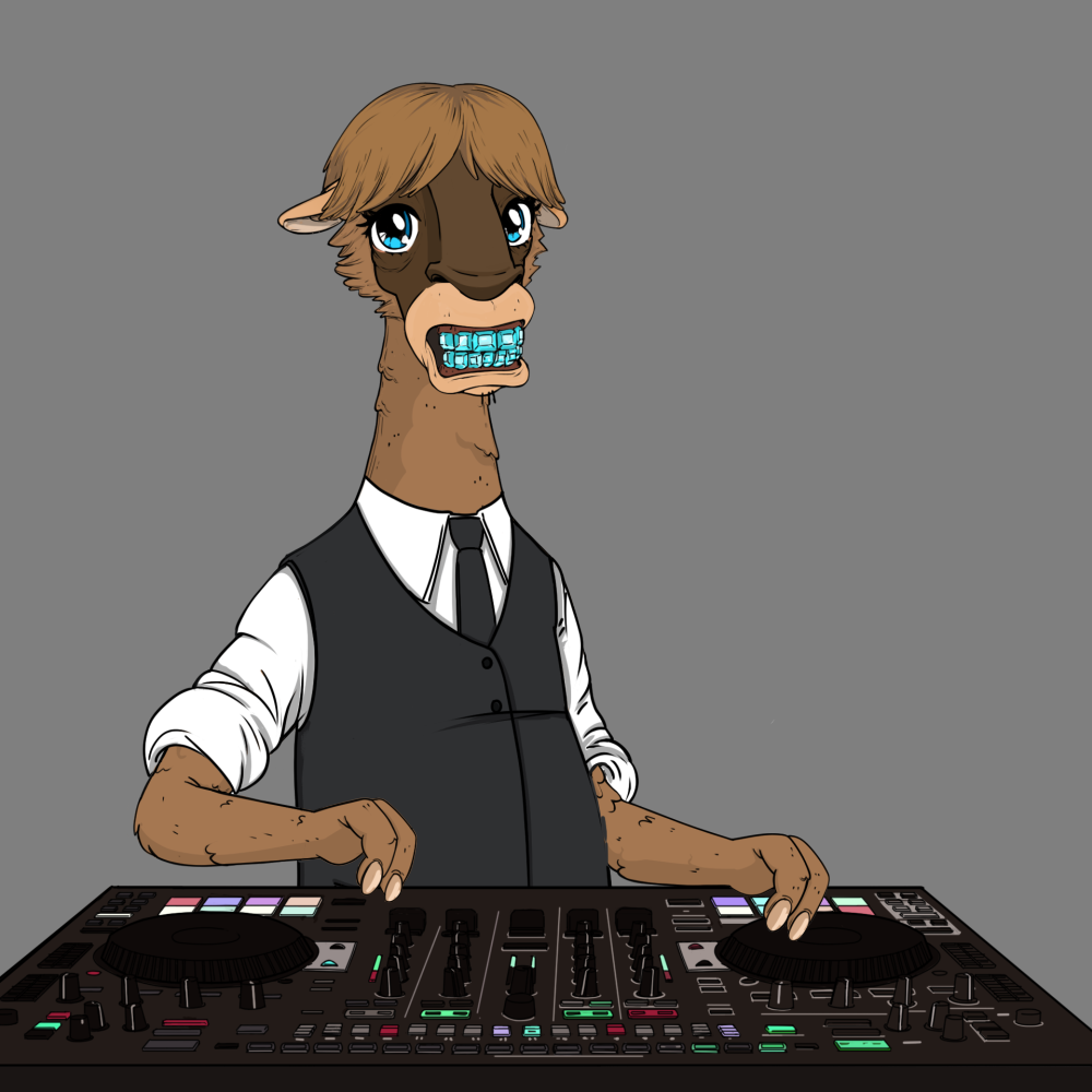 Jammin' Alpacas #5211