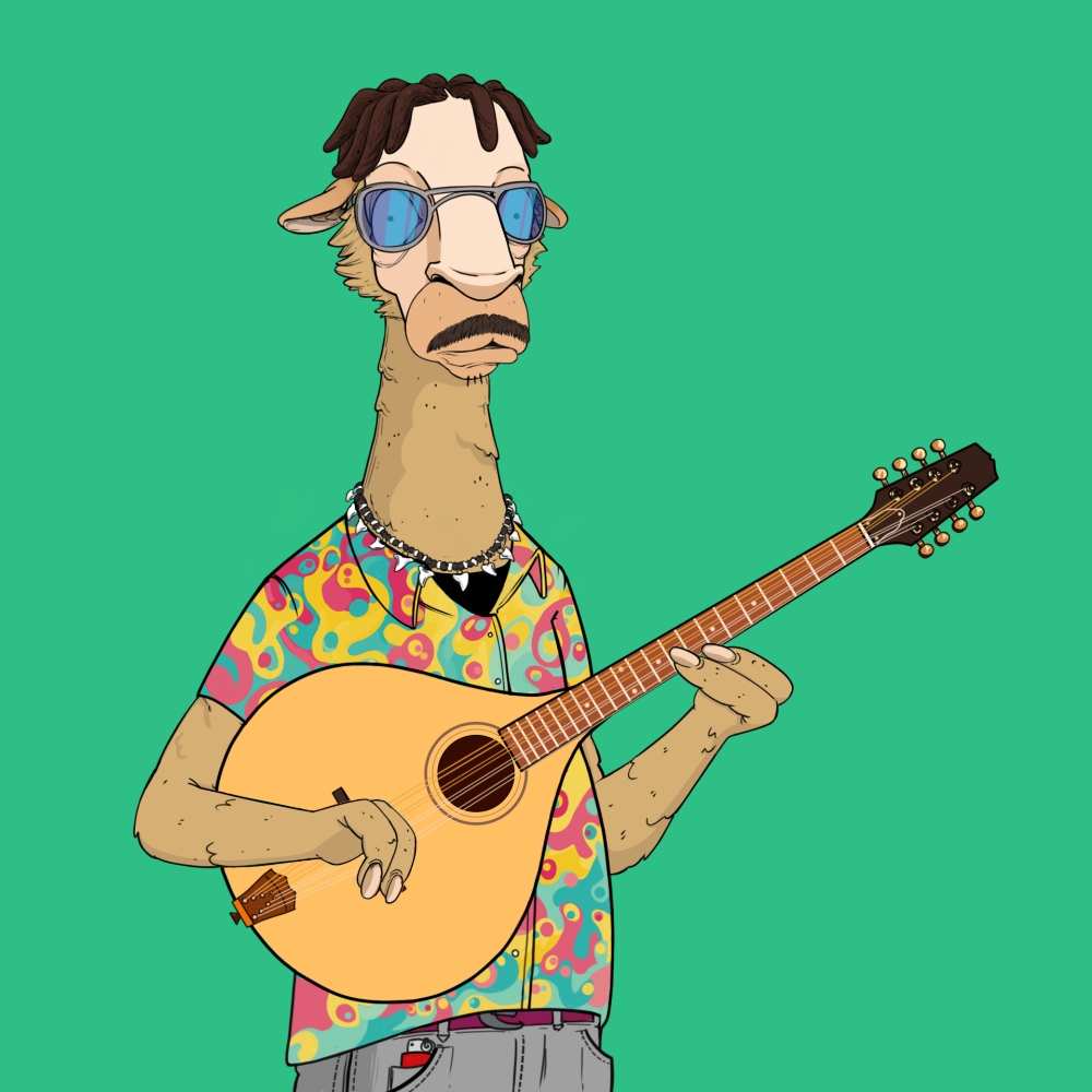Jammin' Alpacas #5217
