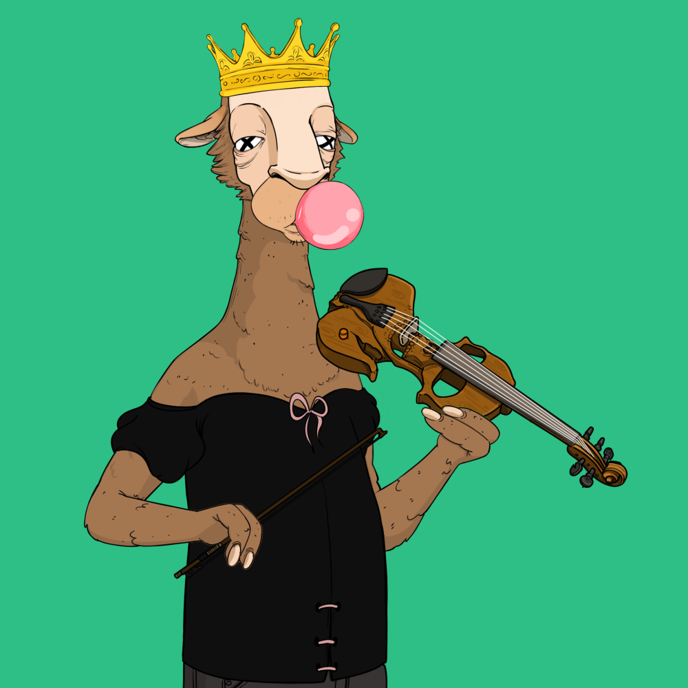 Jammin' Alpacas #5227