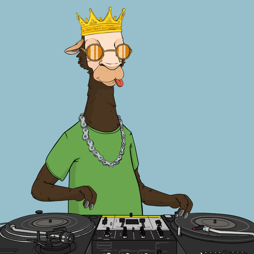 Jammin' Alpacas #5243