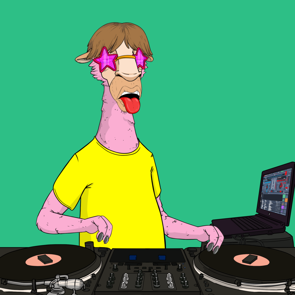 Jammin' Alpacas #5244