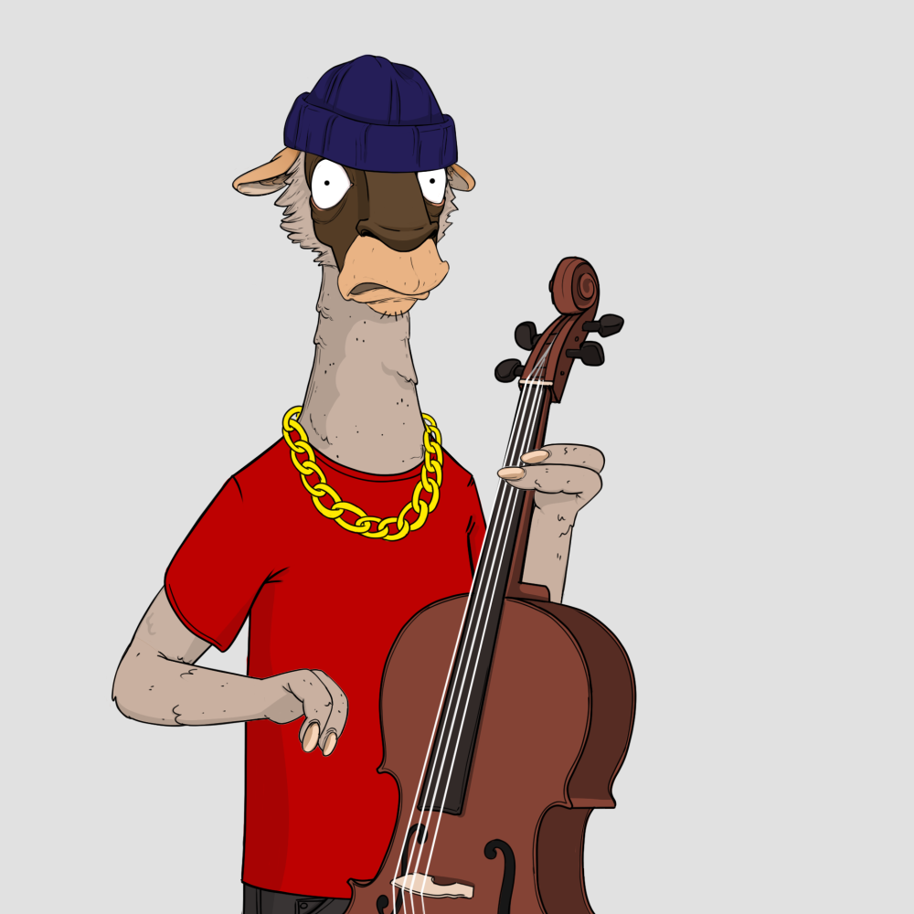 Jammin' Alpacas #5267