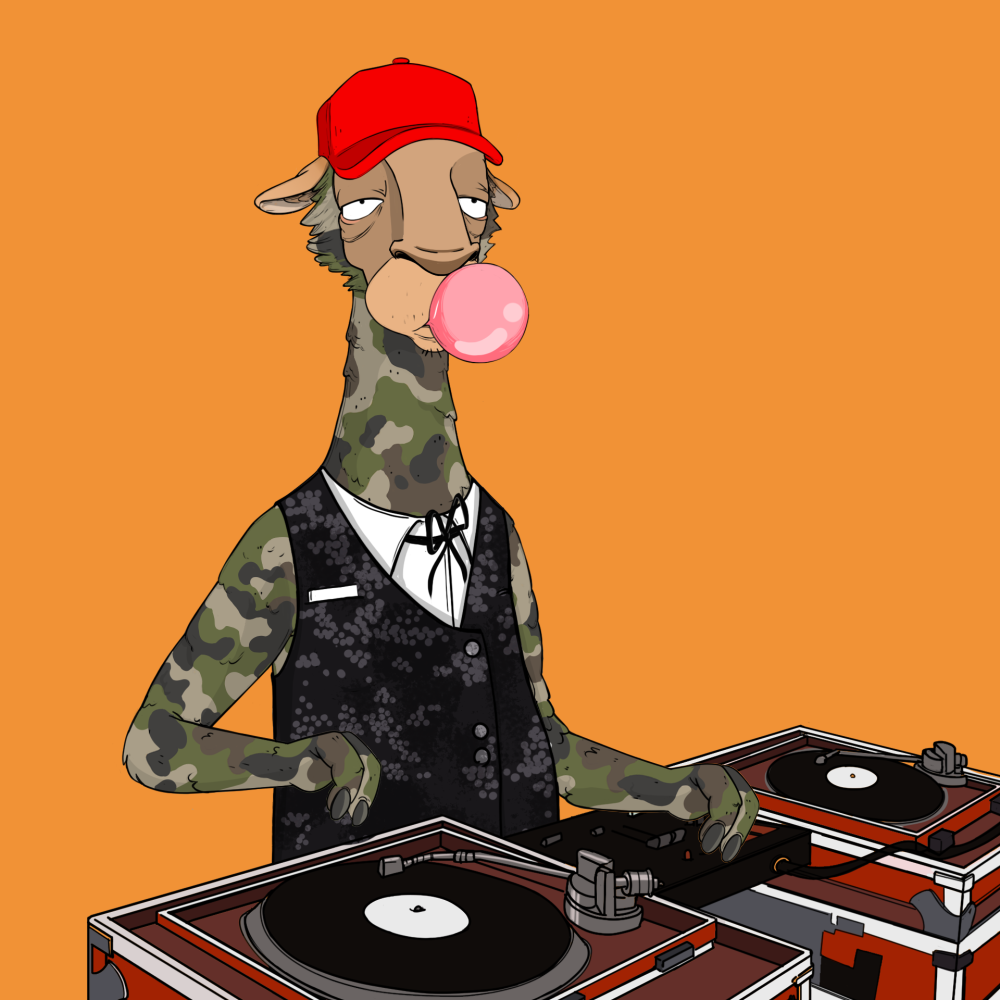 Jammin' Alpacas