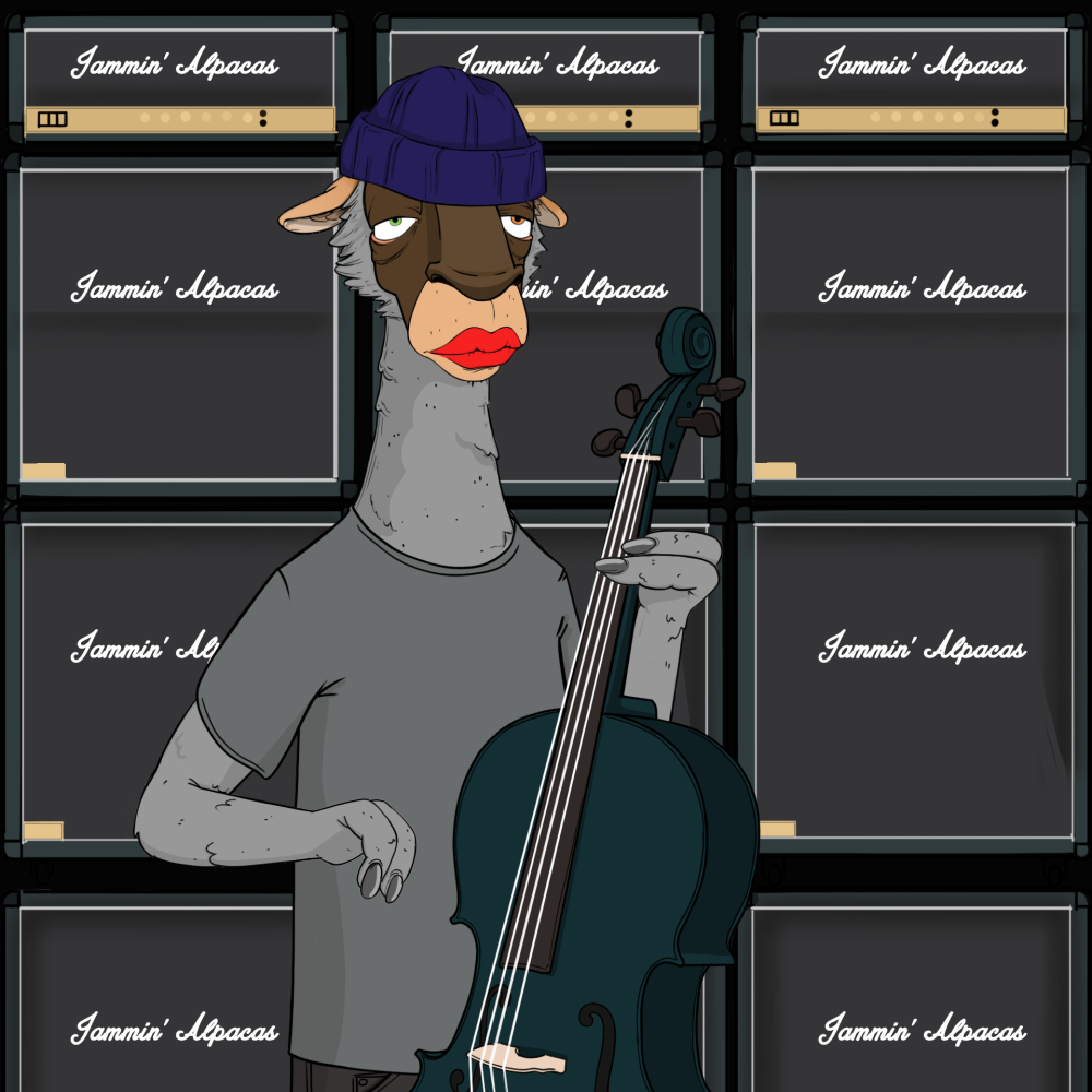 Jammin' Alpacas #5363