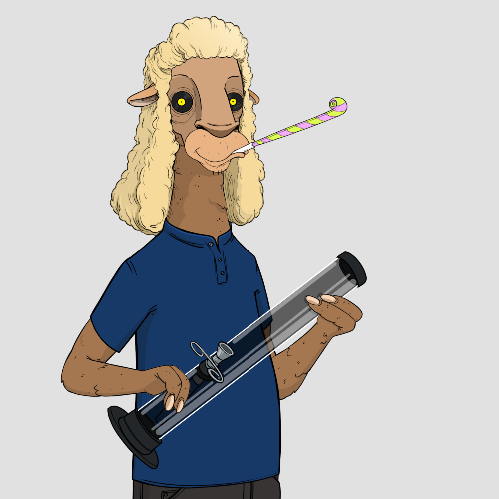 Jammin' Alpacas #5394
