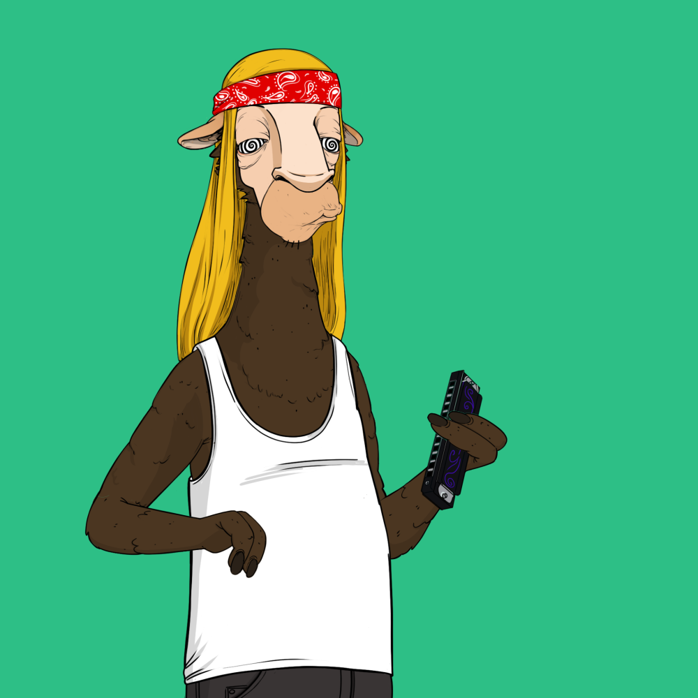 Jammin' Alpacas #5439