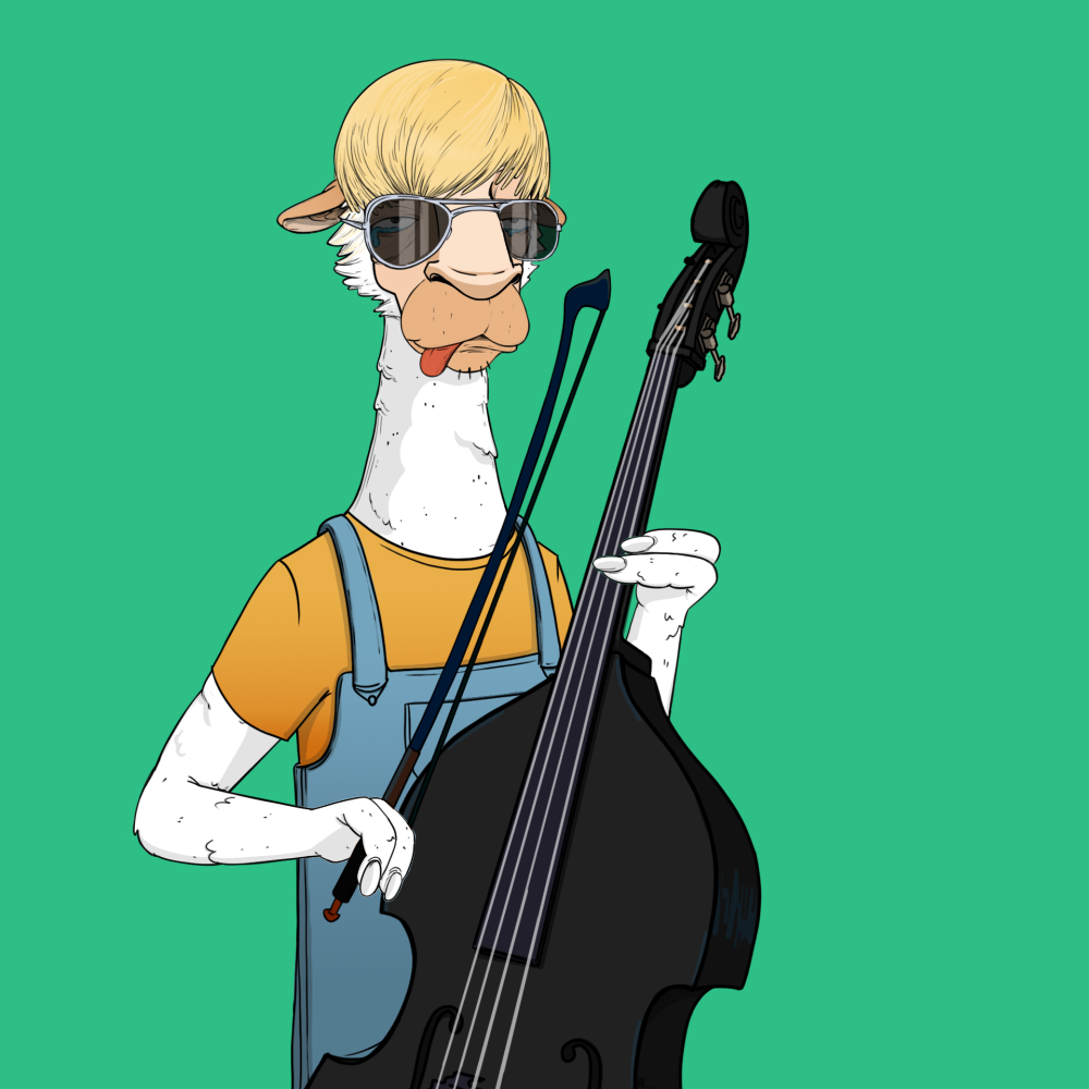 Jammin' Alpacas #5471