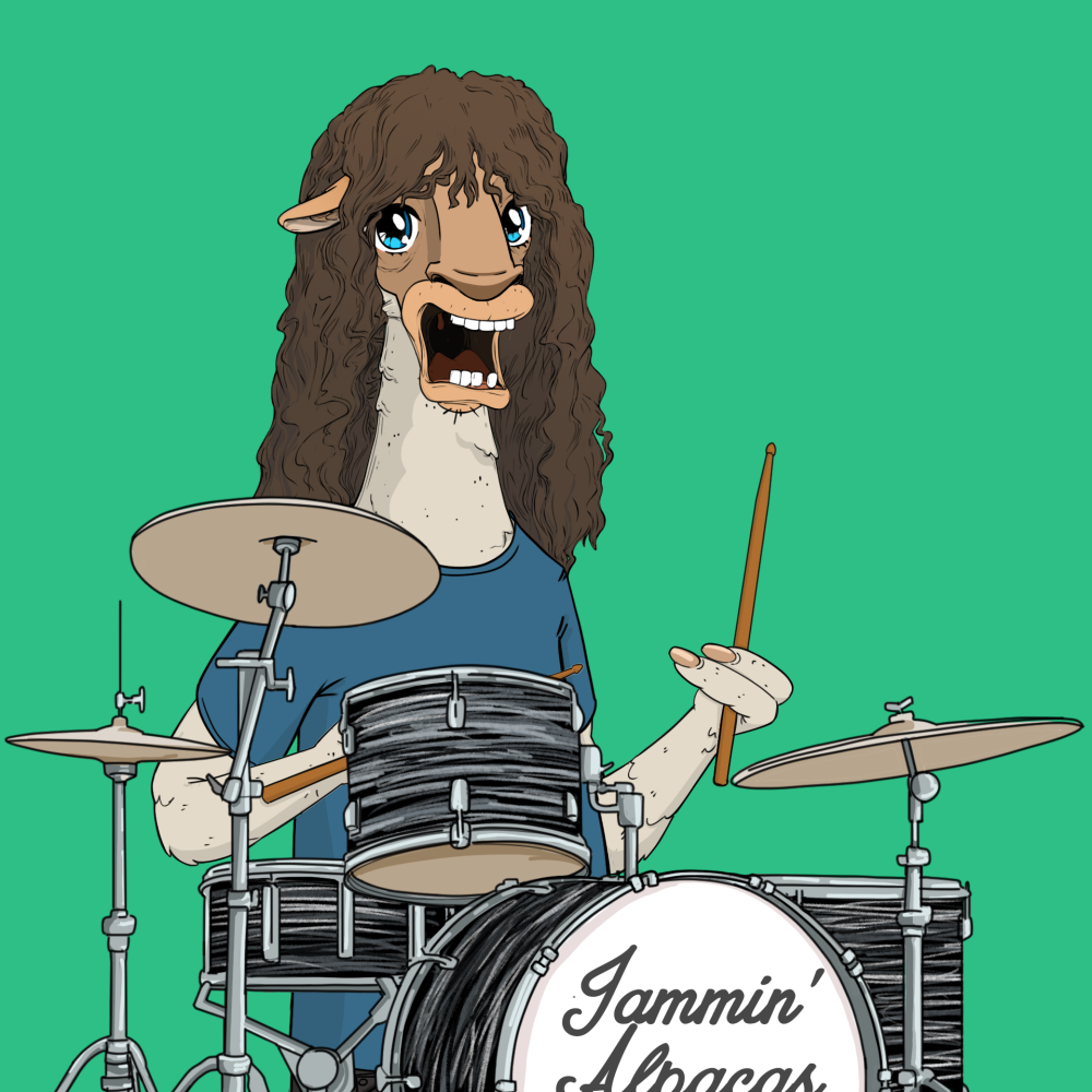 Jammin' Alpacas #5486