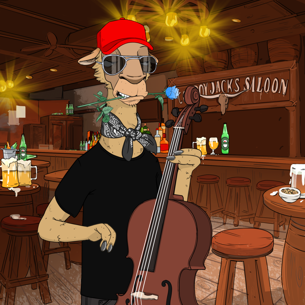 Jammin' Alpacas #5496