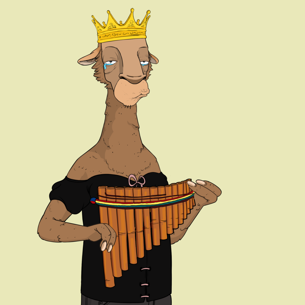 Jammin' Alpacas #5506