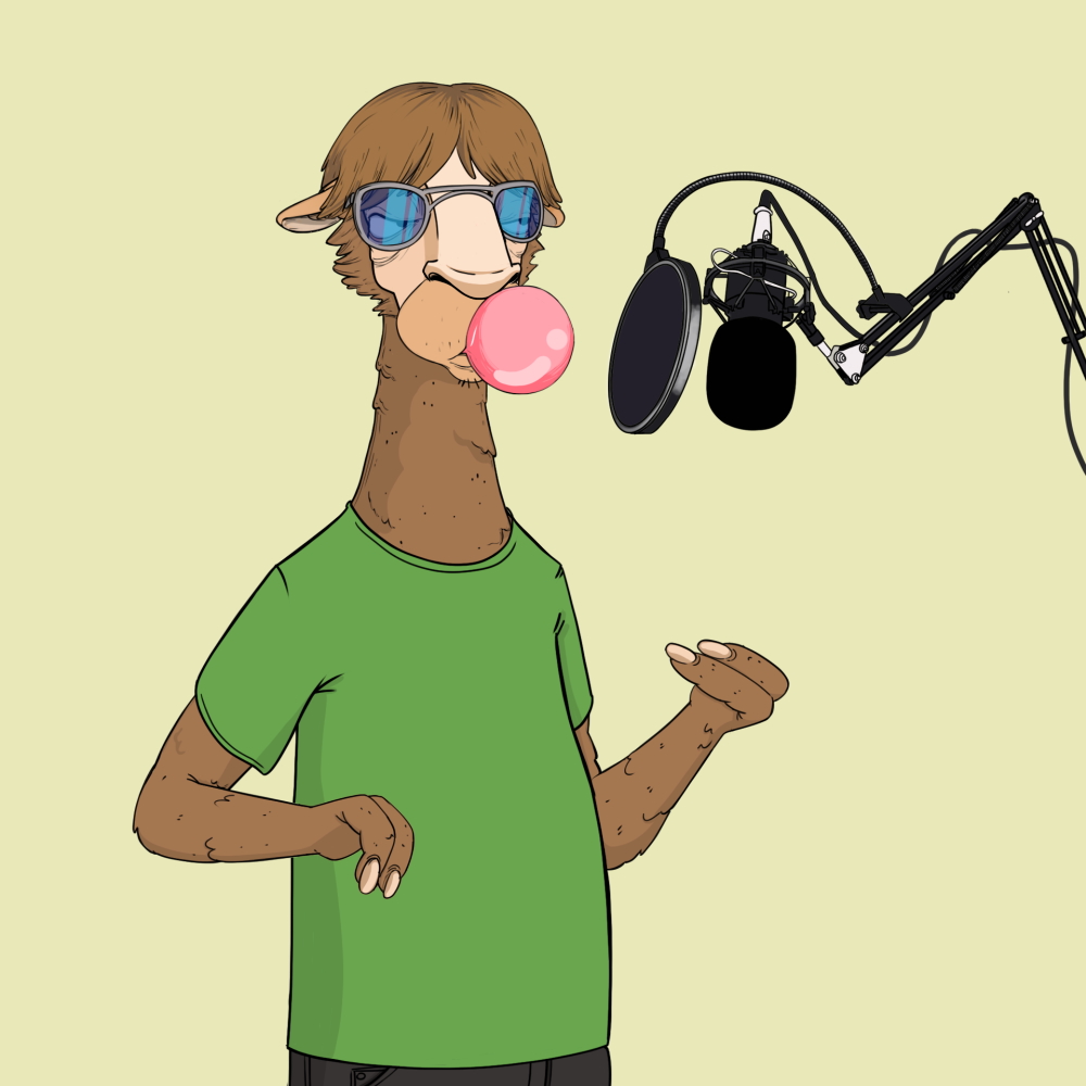 Jammin' Alpacas #5519
