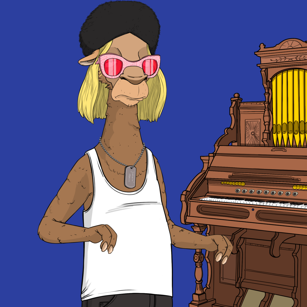 Jammin' Alpacas #5534