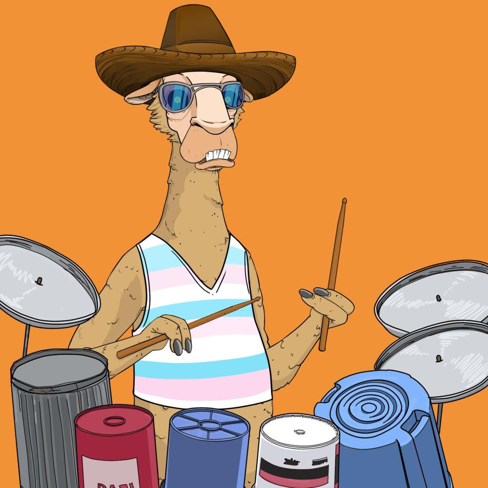 Jammin' Alpacas #5543