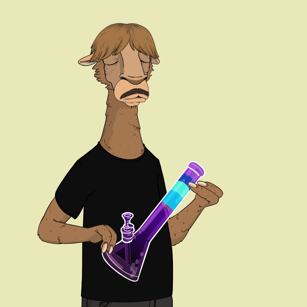 Jammin' Alpacas #5550